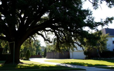 Can I Claim Damage From a Neighbor’s Tree – Legal Guide